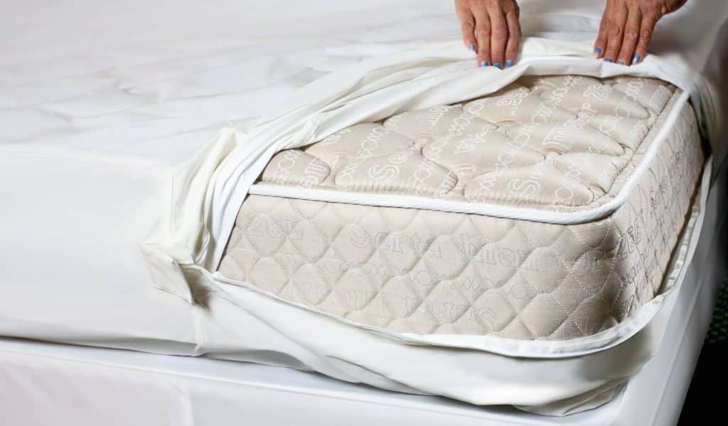 mattress wrap for bed bugs