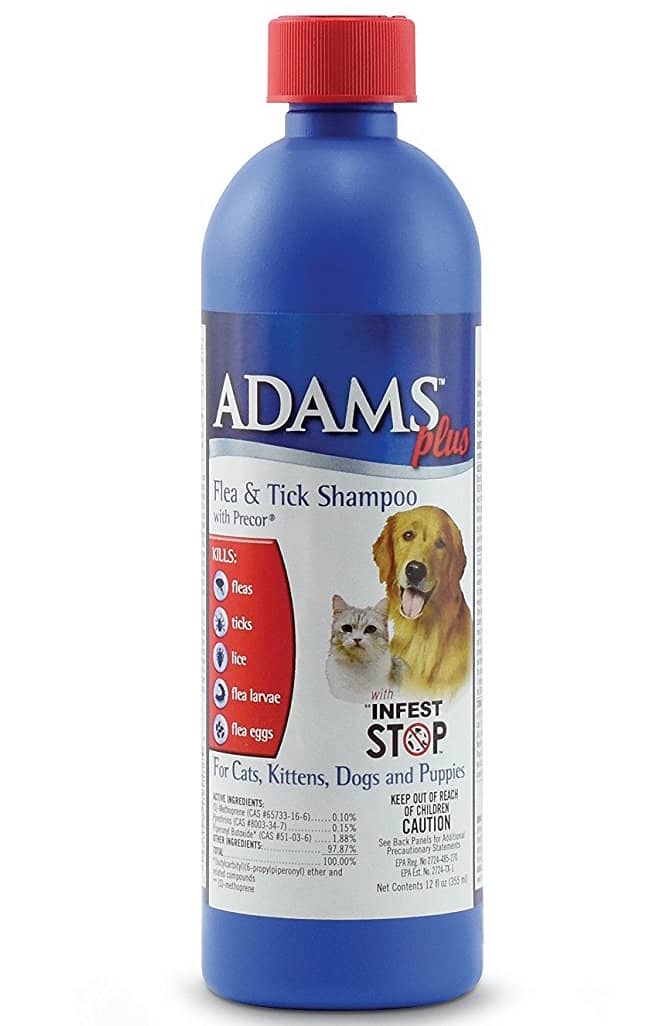 Best Flea Treatment for Dogs Your Options and How They Stack Up