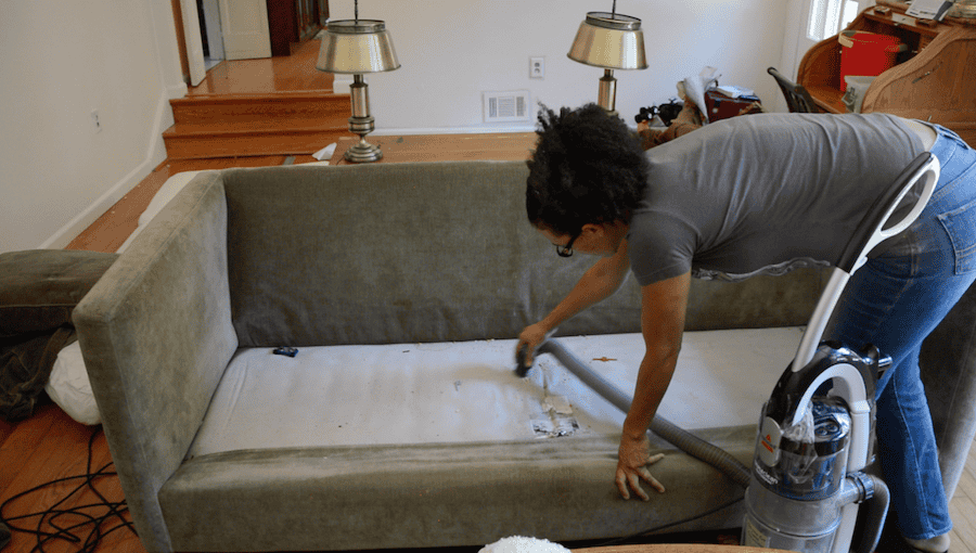 how to get rid of bed bugs in a couch - pest hacks