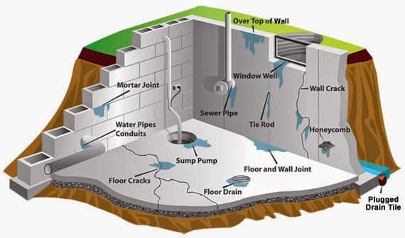 What Causes Termites and Termite Prevention Methods That Work - Pest Hacks