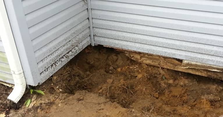 What Causes Termites and Termite Prevention Methods That Work - Pest Hacks