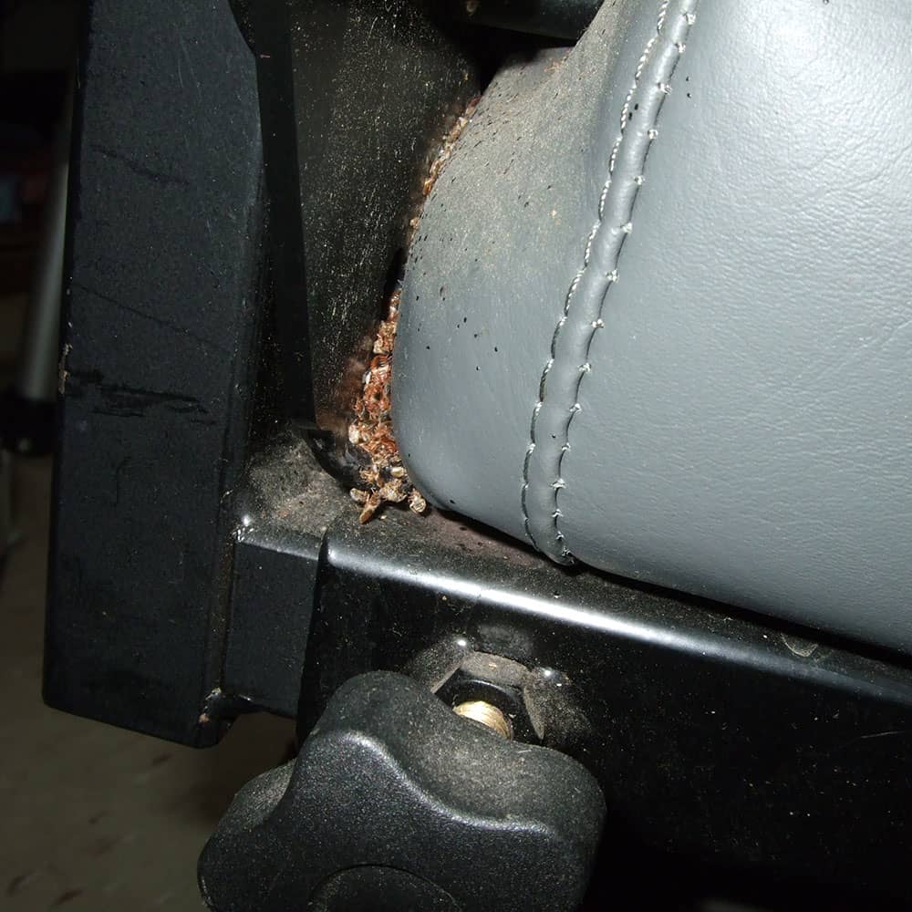 bed-bug-damege-on-wheel-chair